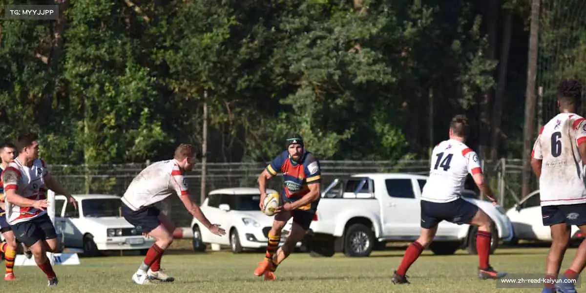 行业领先的理由